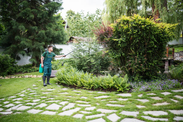 Best Affordable Pest Control Services  in Western Lake, TX