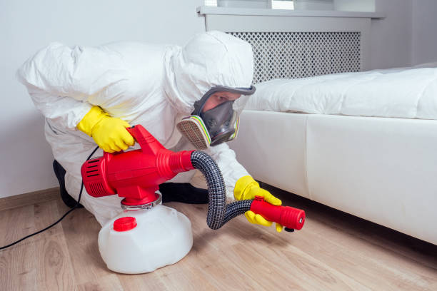 Best Local Pest Control Services  in Western Lake, TX