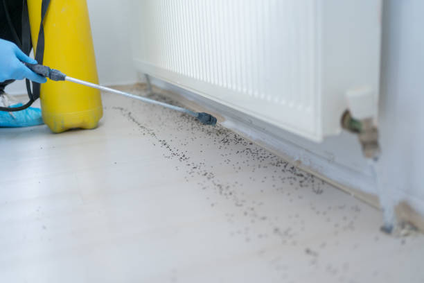 Best Wildlife Control Services  in Western Lake, TX